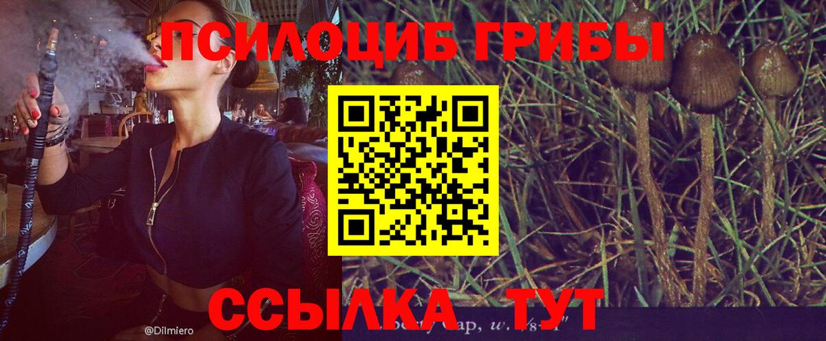Псилоцибиновые грибы мухоморы Россошь